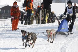 Lenk 2012 SM